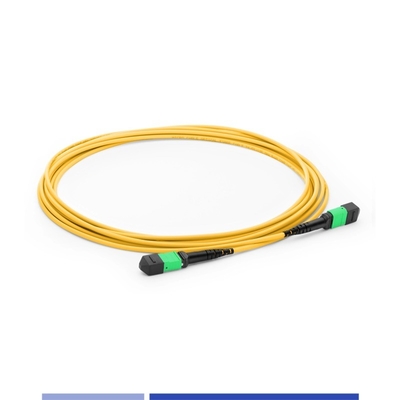 12 Core MTP® Fiber Optic Patch Cord Female Singlemode G652D 10m Fiber Patch Cables OFNP Type B